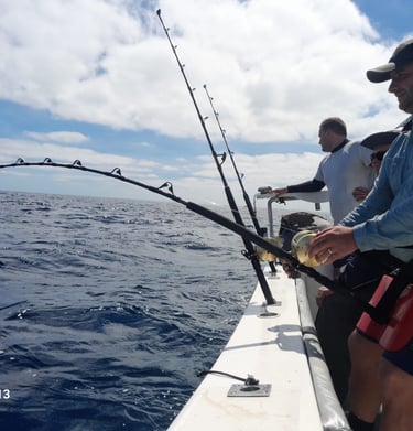 Anglers trolling on a catamaran - Catamaran Fishing Charters Seychelles
