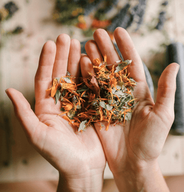 Hands showcasing natural Indonesian spices for international trade