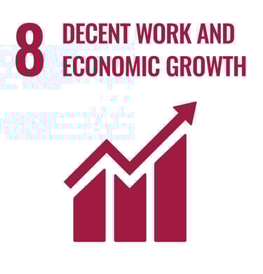 SDG 8
