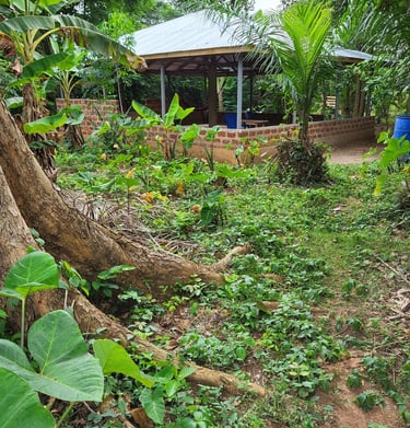 Paillote Restaurant de la Ferme Aménopé Togo