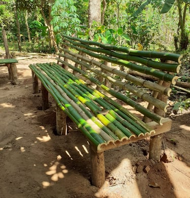 Banc en bambou à la Ferme Aménopé Togo Permaculture