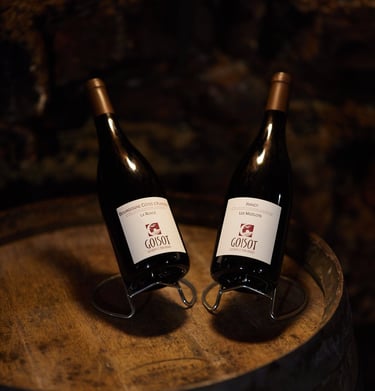 vins du domaine Goisot