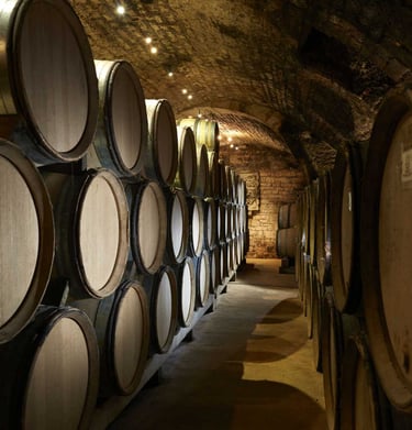 Cave du domaine