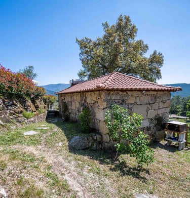 maison de vacance-gite au portugal