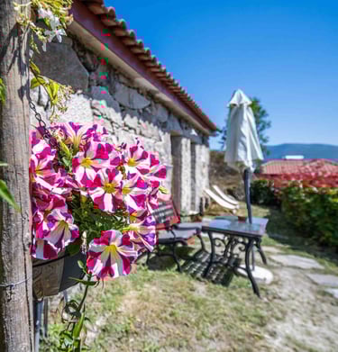 maison de vacance-gite au portugal