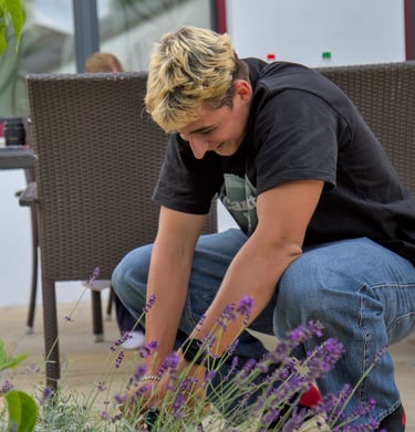 Ein Teammitglied erntet Lavendel