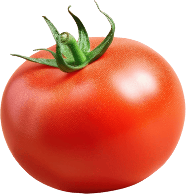 tomate commande en ligne chez Meilleure Pizza Blagnac