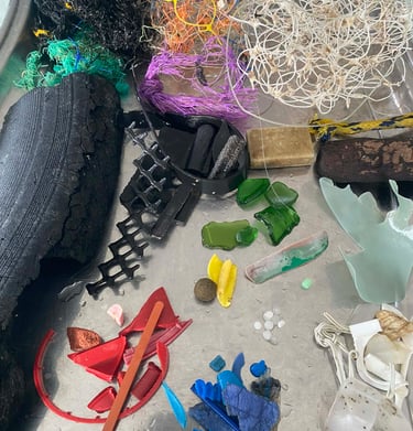 Matières organiques glanées et triées dans l'atelier de la plasticienne XIRKYS pour la création de P