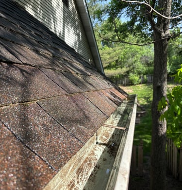 gutter after cleaning