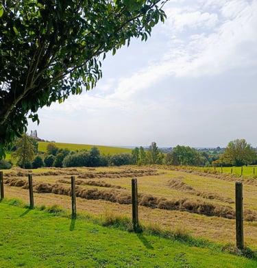reiki Lesenfants Magali apaisement Soumagne séance
