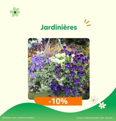 Promotions : jardinières en réduction à -10%