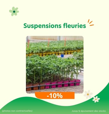 Promotions : suspensions fleuries en réduction à -10%