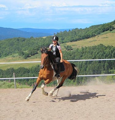 Jeune cavalier en formation à La Luc