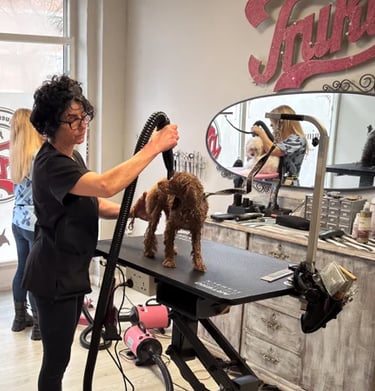 cursos de peluqueria canina prácticos