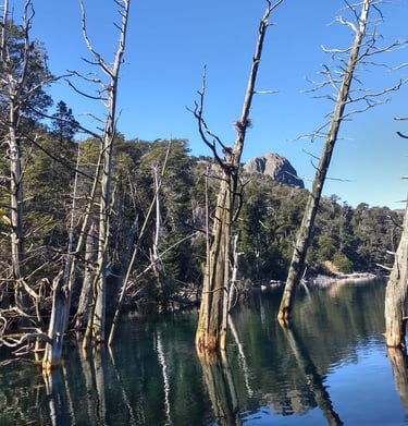 Bosque Sumergido Villa Traful