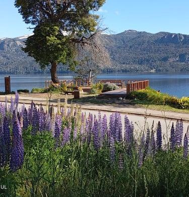 Primavera Villa Traful - Mirador