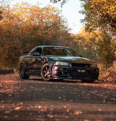 midnight purple r34 gtr during autumn