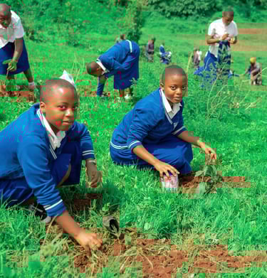 Lycée Wima, élèves plantant des arbres, journéé mondiale de l'arbre 2025
