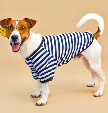 Perro con gafas de sol y playera a rayas azules
