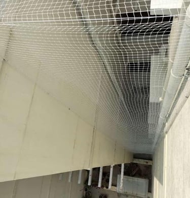 Daylight shot showing the fine mesh of the pigeon net blending with the apartment exterior.