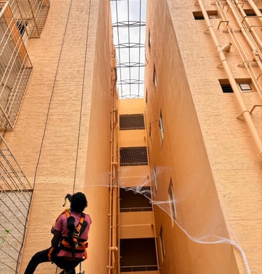 Installation team carefully fixing the netting on a high-rise apartment ledge in Malabar Hill.