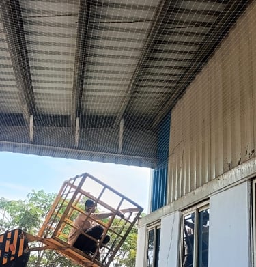 Wide shot showing a large warehouse facade fully covered with Arjilli Safety Nets' pigeon netting.