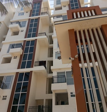 Evening shot of a pigeon net casting soft shadows on a sunlit apartment wall.
