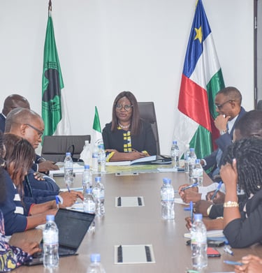 African diplomats and officials holding a business meeting at a conference table with national flags.