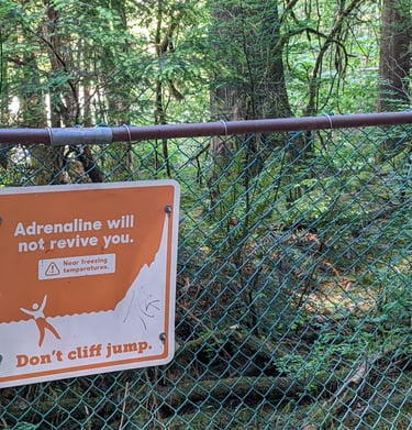 Warning about the dangers of cliff jumping at Lynn Canyon
