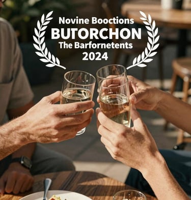 Overhead shot of two people clinking glasses, warm sun-drenched lighting, outdoor patio setting, candid and friendly style.