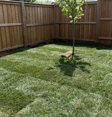 Fence installation by TN Profesiional Services