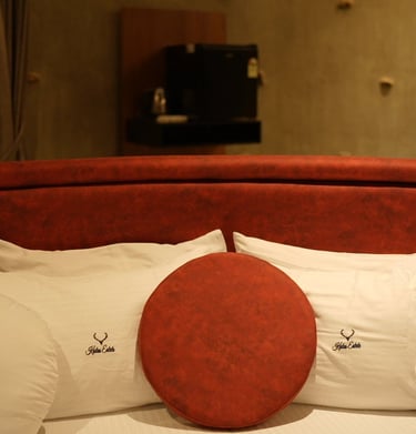 elliptical bed at Archouse