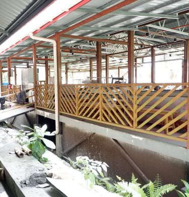 Signal Seafood Steamboat by GlobalKitc at KPD Avenue Kota Kinabalu