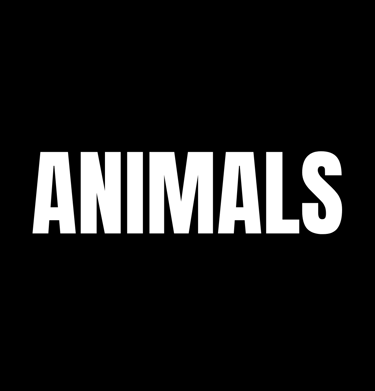animals-for-stress-relief