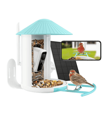 Birdfy Birdcam and Feeder