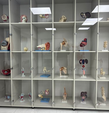 university of south asia kyrgyzstan