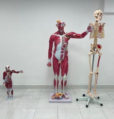 university of south asia kyrgyzstan