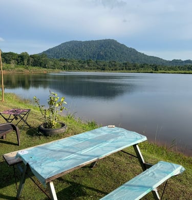 Bintan Enau