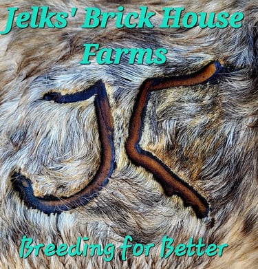 Jelks' BHF hot brand image & logo