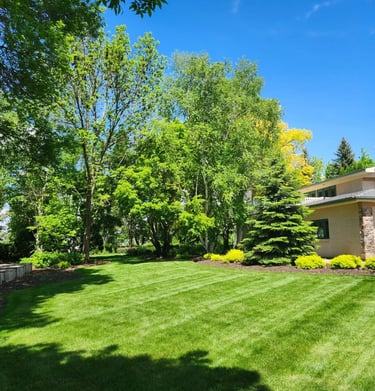 hamm lawn care 3