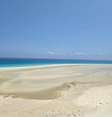 Socotra guide