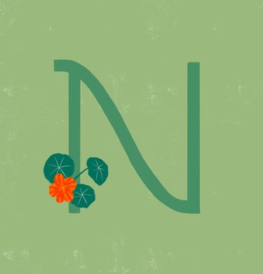 Letter N illustrated with nasturtium.