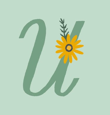 Letter U illustrated with ursinia flowers.