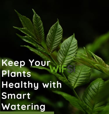 auto watering device