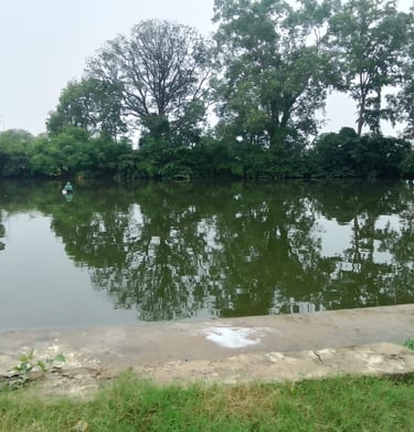 pond