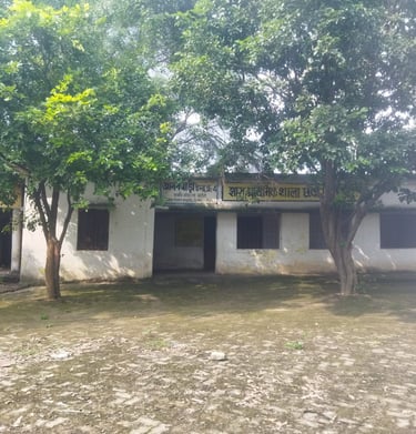 school