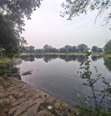 pond