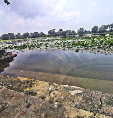 pond