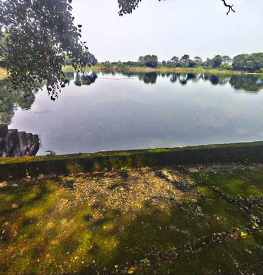 pond