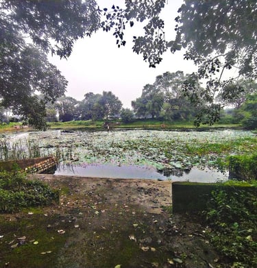 pond
